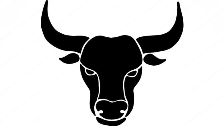 Bikovi, stanite – da li ste upravo osetili to: Univerzum vam je malopre poslao signal i ako ste ga osetili znate da ovo nije slučajnost!