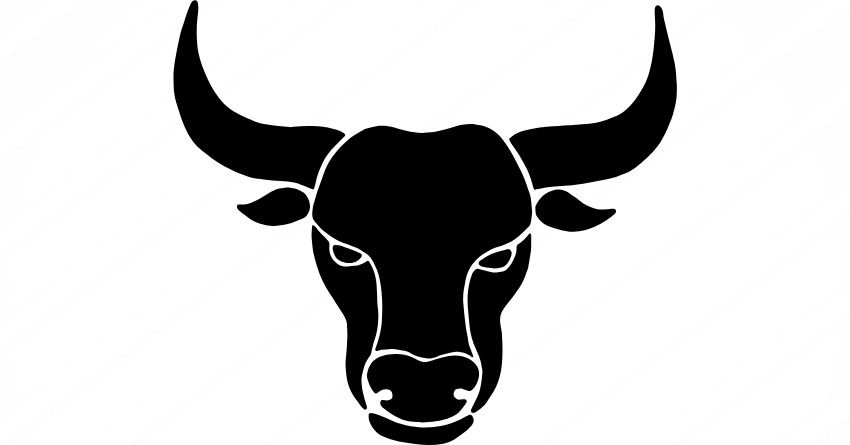 Bikovi, stanite – da li ste upravo osetili to: Univerzum vam je malopre poslao signal i ako ste ga osetili znate da ovo nije slučajnost!