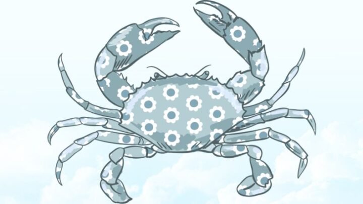 Rakovi, zvijezde kažu: Prestanite se žrtvovati za pogrešne osobe!