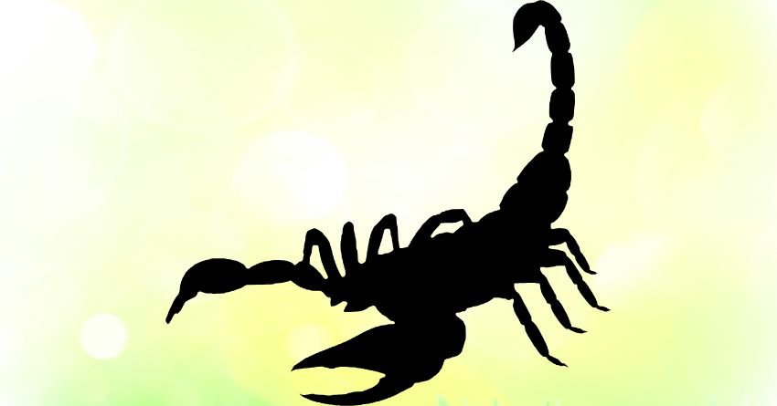 Škorpija – Veliki precizni horoskop do 15. aprila: Neko vam duguje istinu i konačno će je izgovoriti!